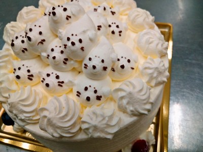 あざらしいっぱい