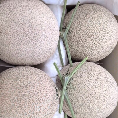 line_oa_chat_260426_103548